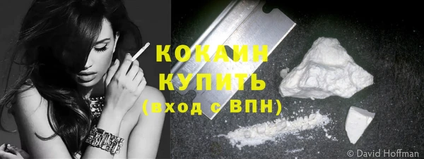 шишки Волосово