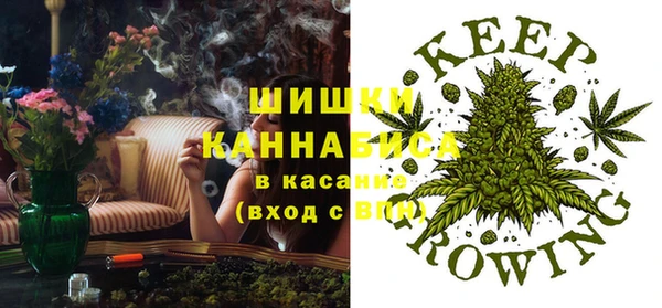 шишки Волосово