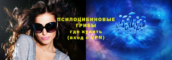 шишки Волосово