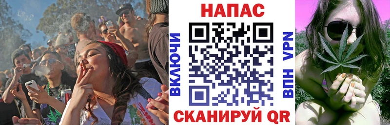 Каннабис планчик  Купить закладки  Куртамыш 